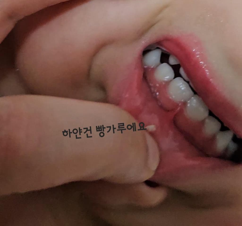 2번 째 사진