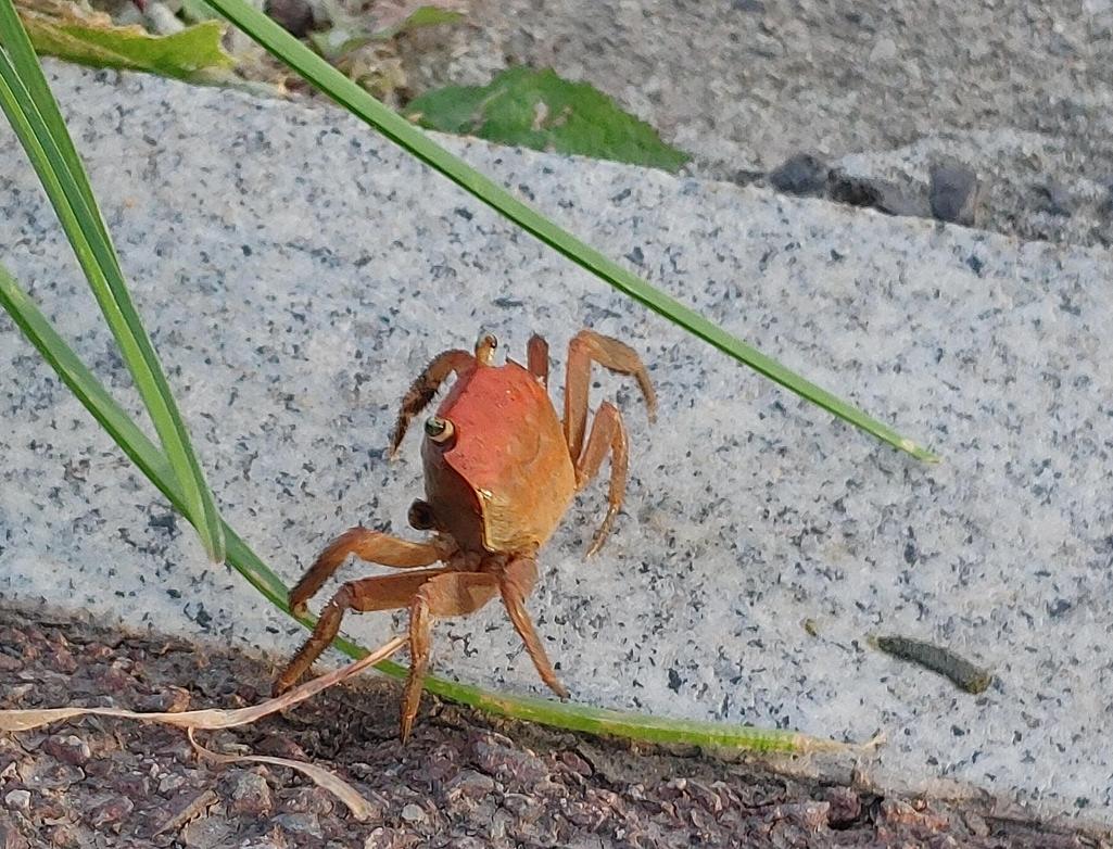3번 째 사진