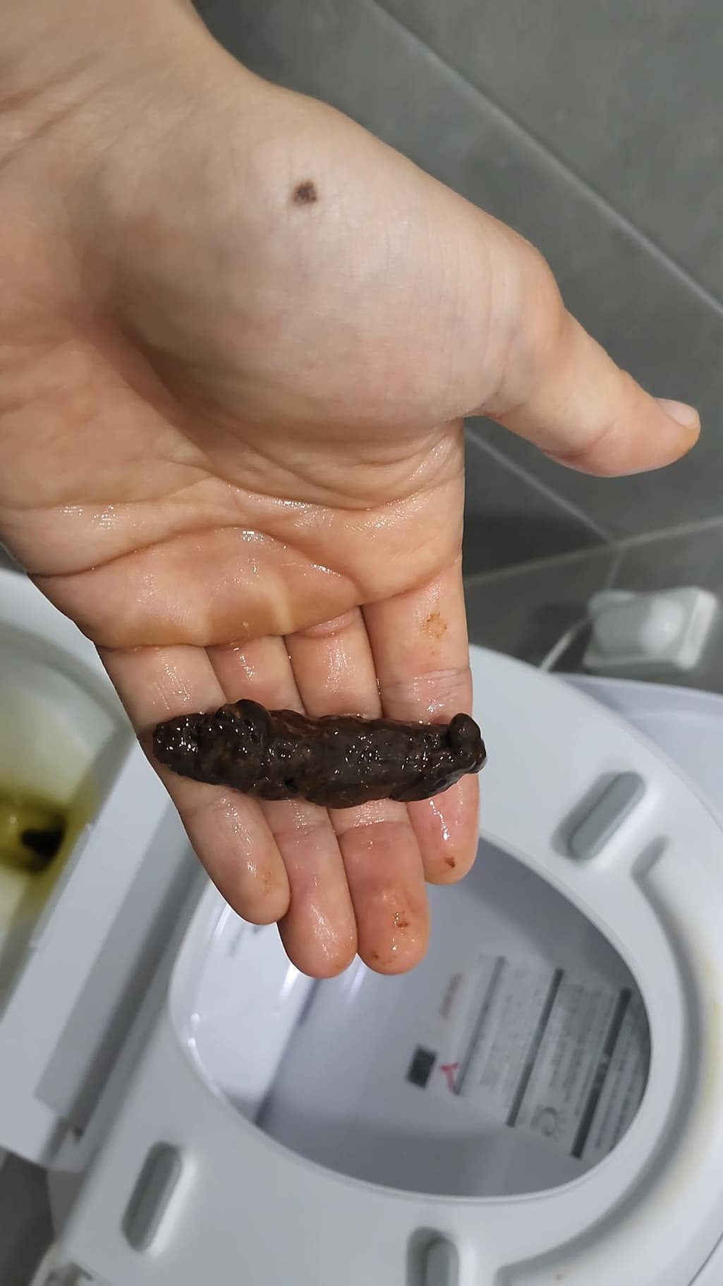 5번 째 사진