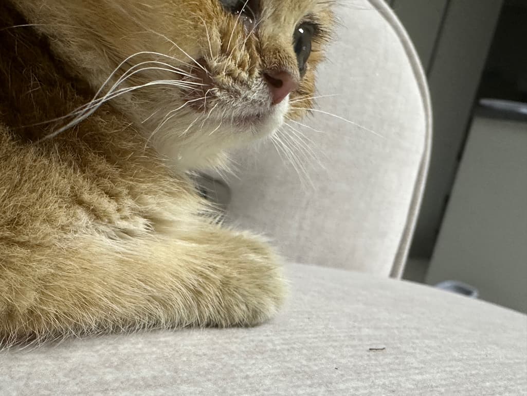 2번 째 사진