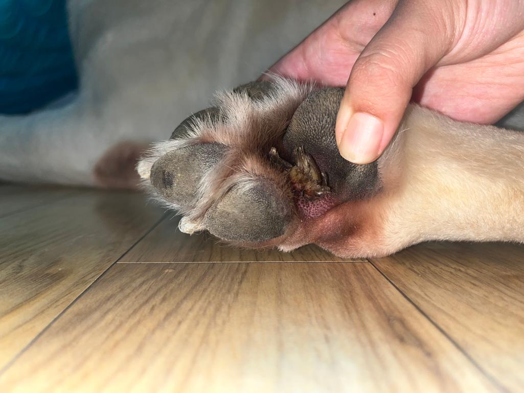 5번 째 사진