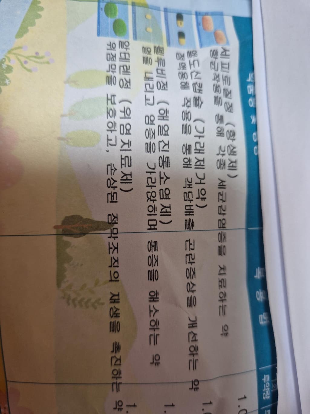 2번 째 사진