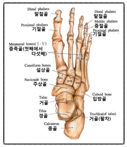 2번 째 사진