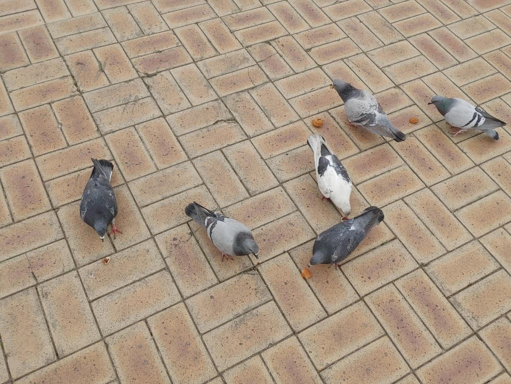 1번 째 사진