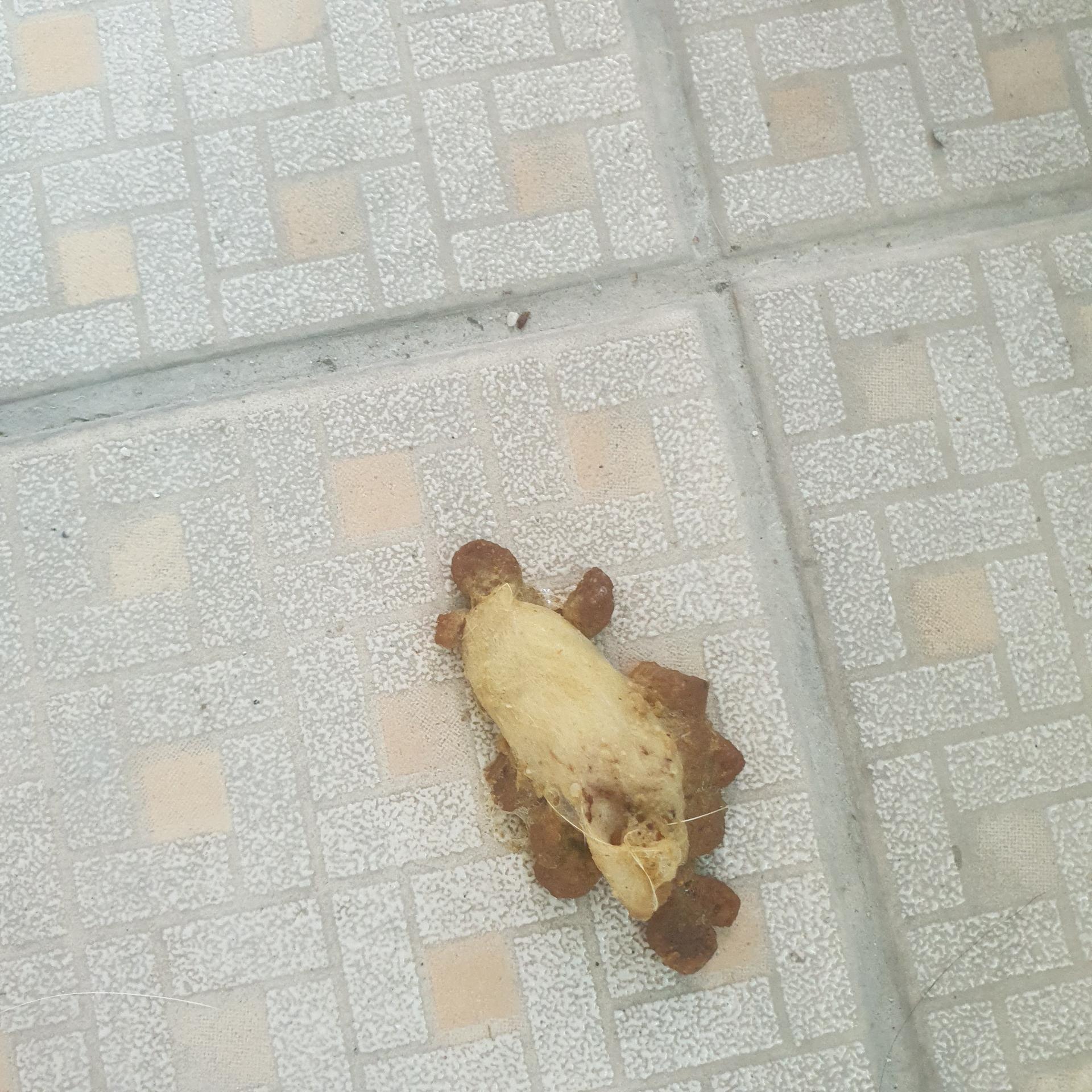 2번 째 사진