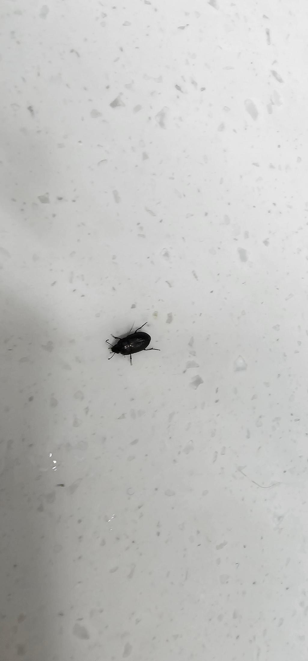 2번 째 사진