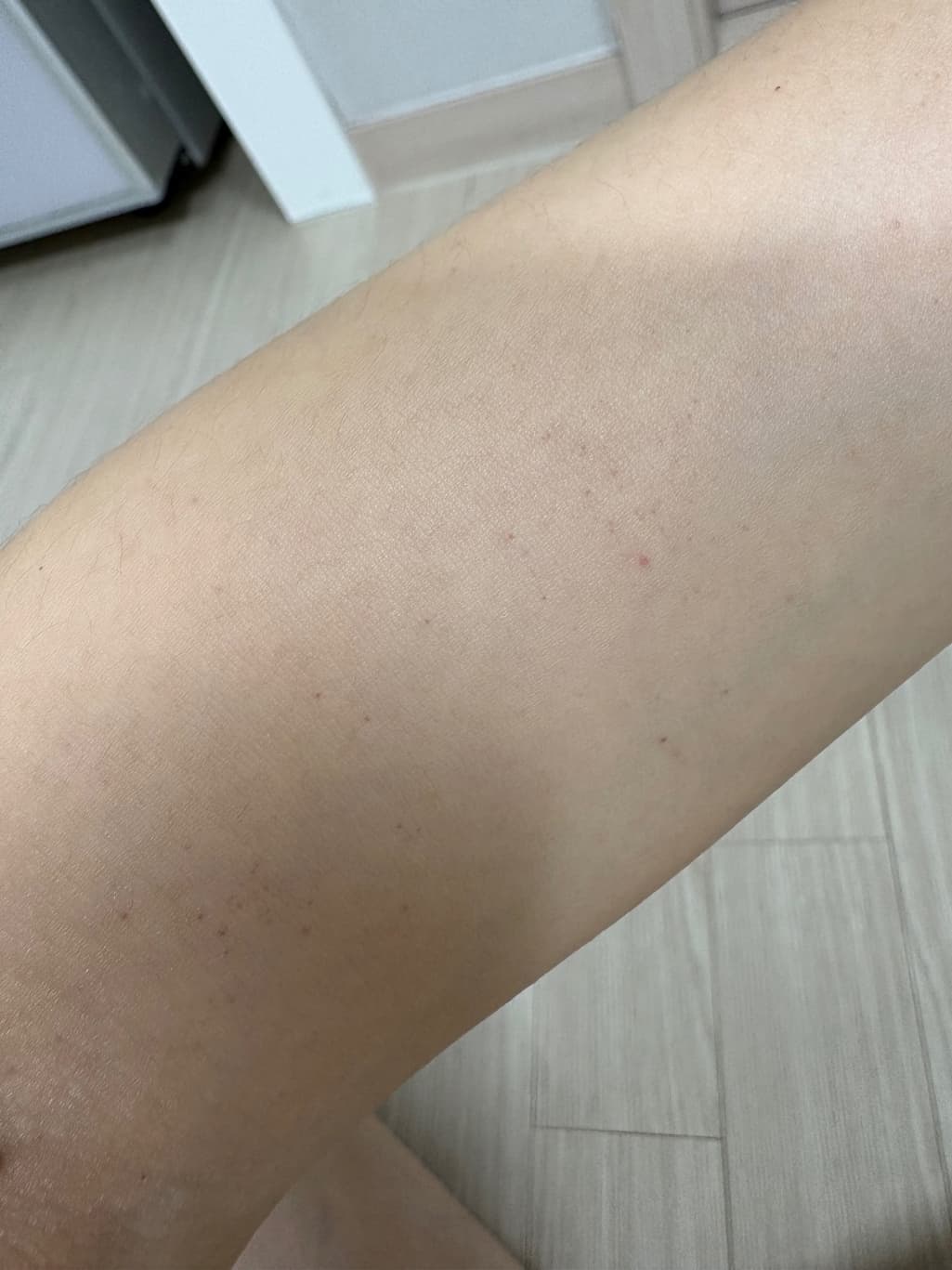 2번 째 사진
