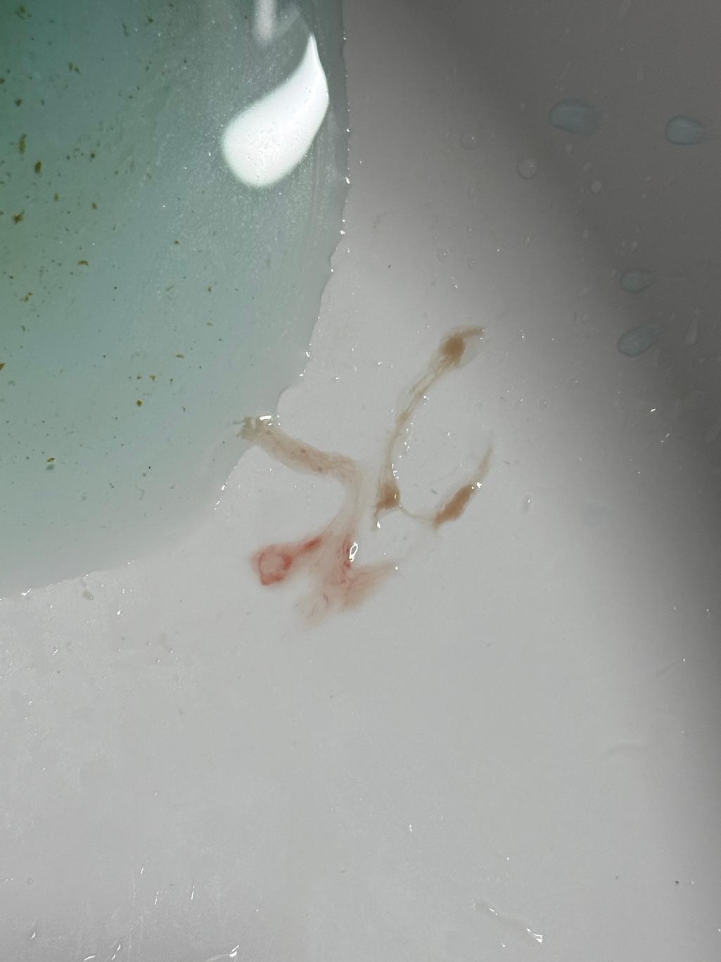 2번 째 사진