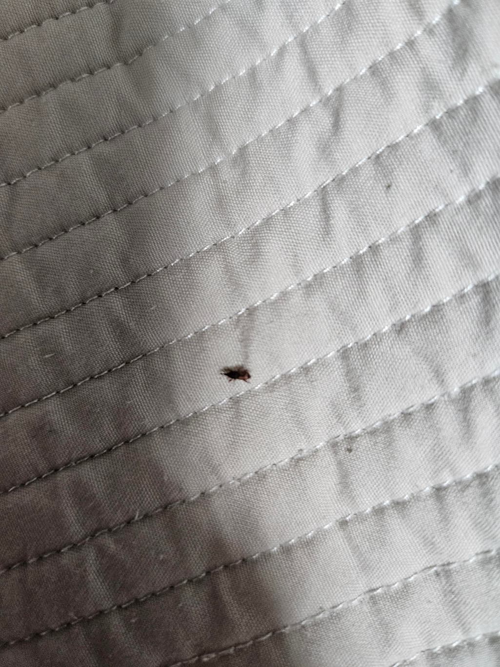 2번 째 사진