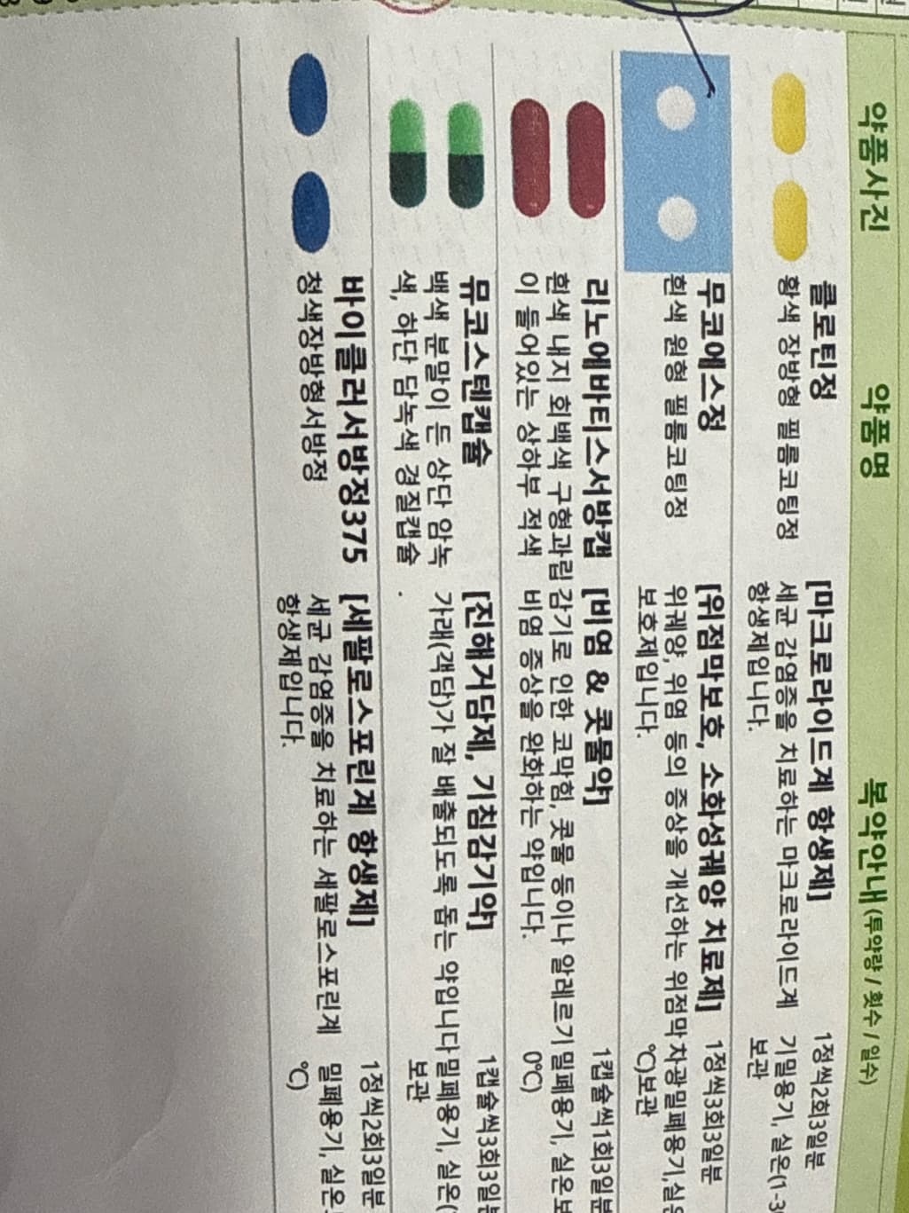 1번 째 사진