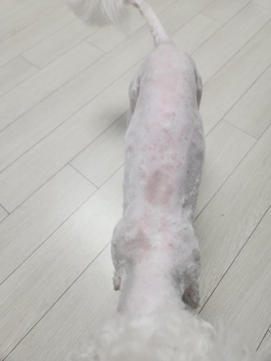2번 째 사진