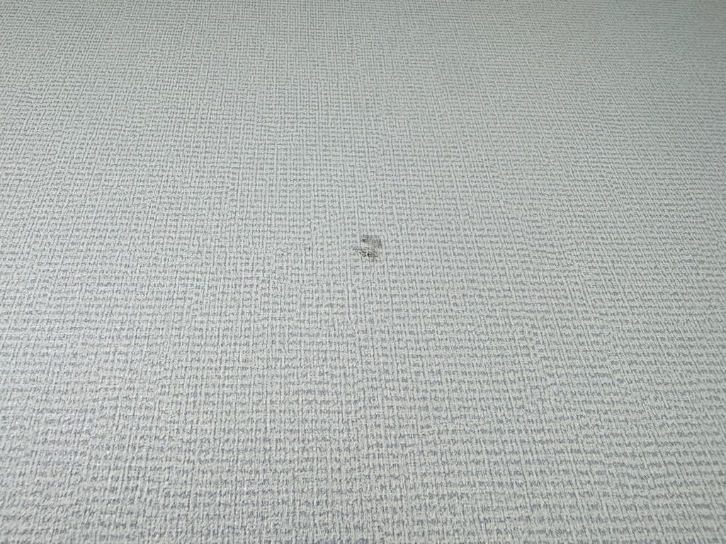 14번 째 사진