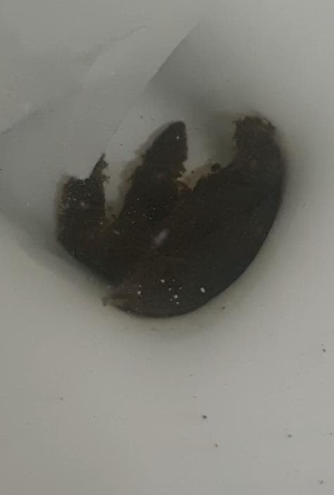 2번 째 사진