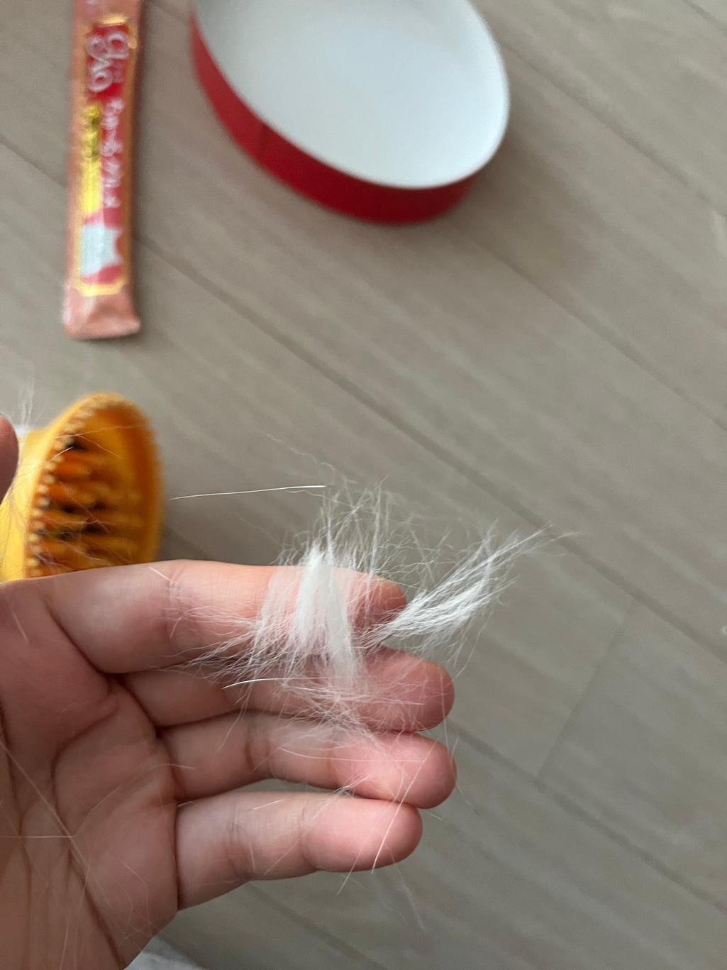 2번 째 사진