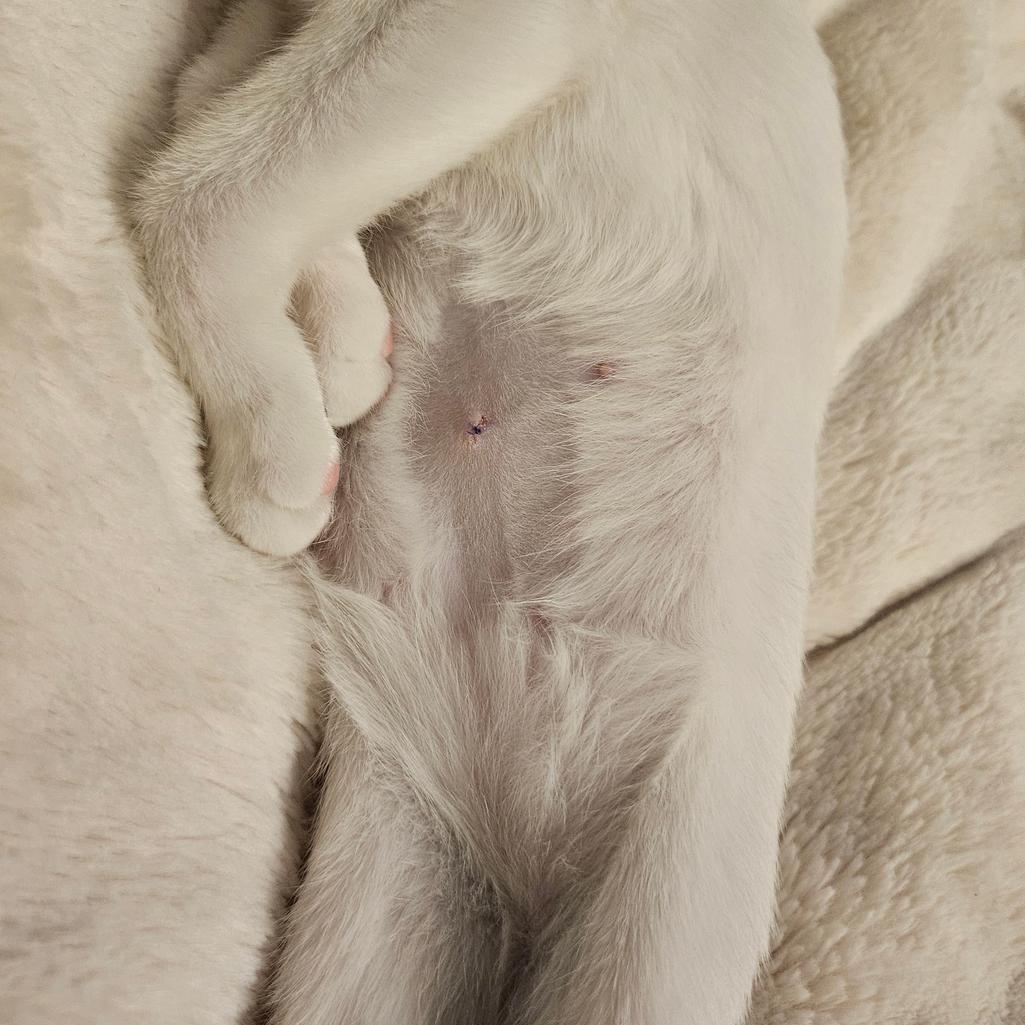 2번 째 사진