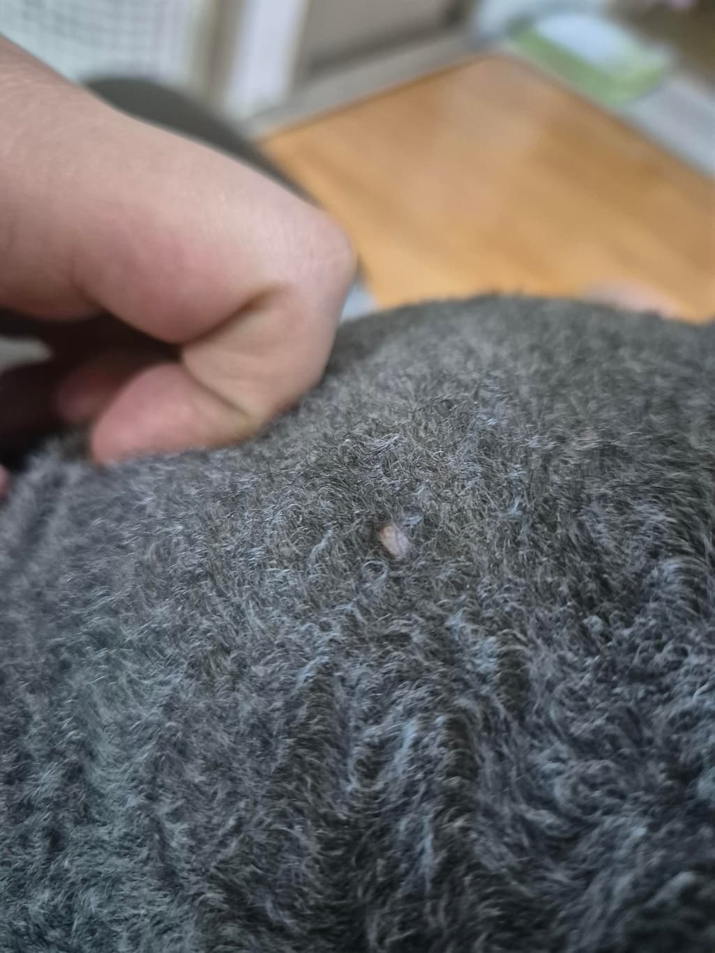 2번 째 사진