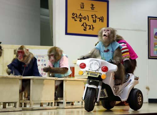 1번 째 사진