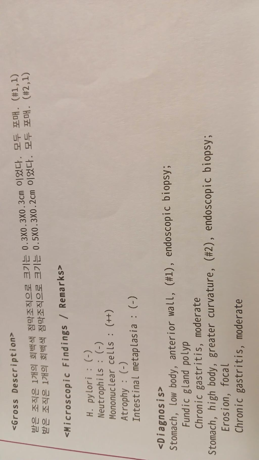 1번 째 사진
