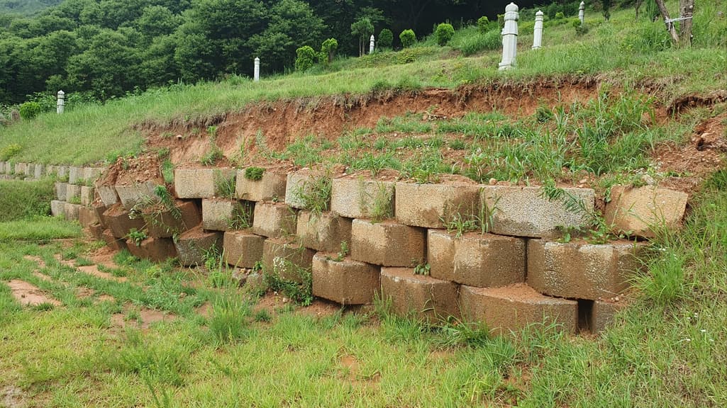 2번 째 사진