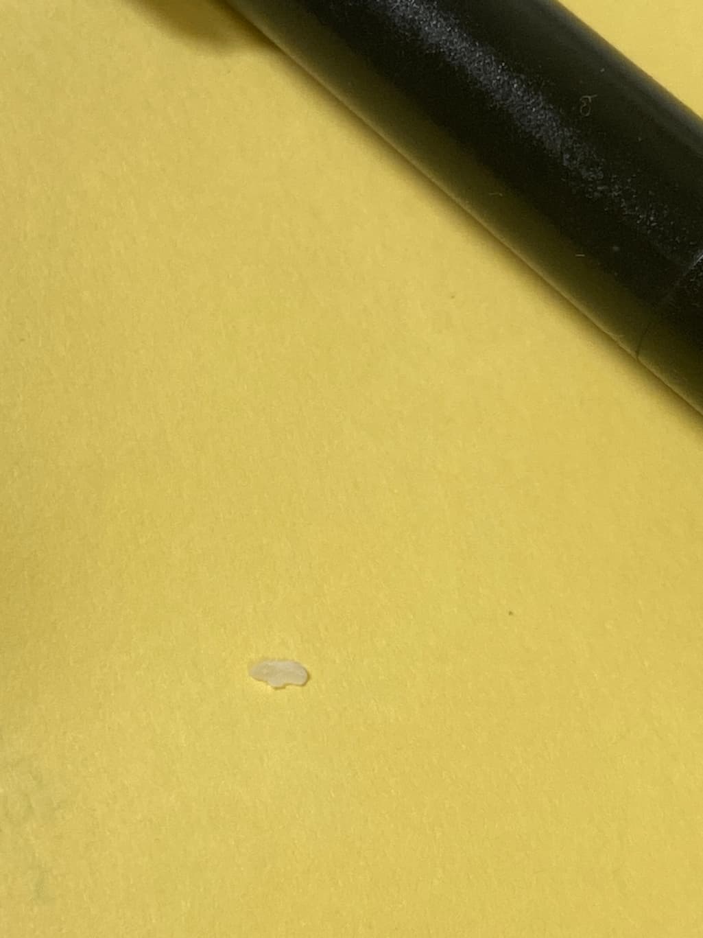 2번 째 사진