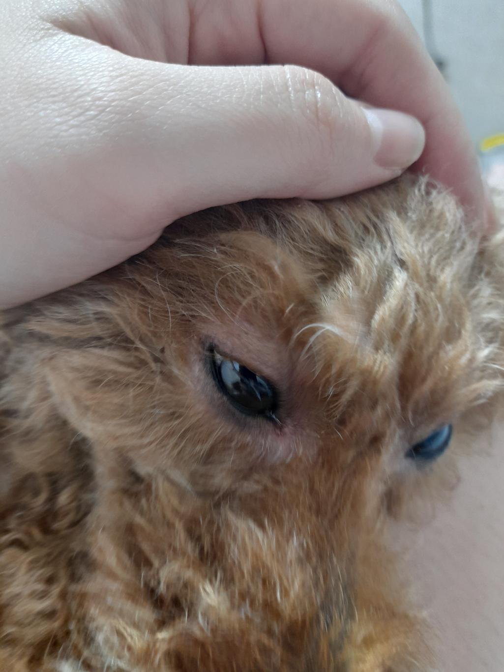 3번 째 사진