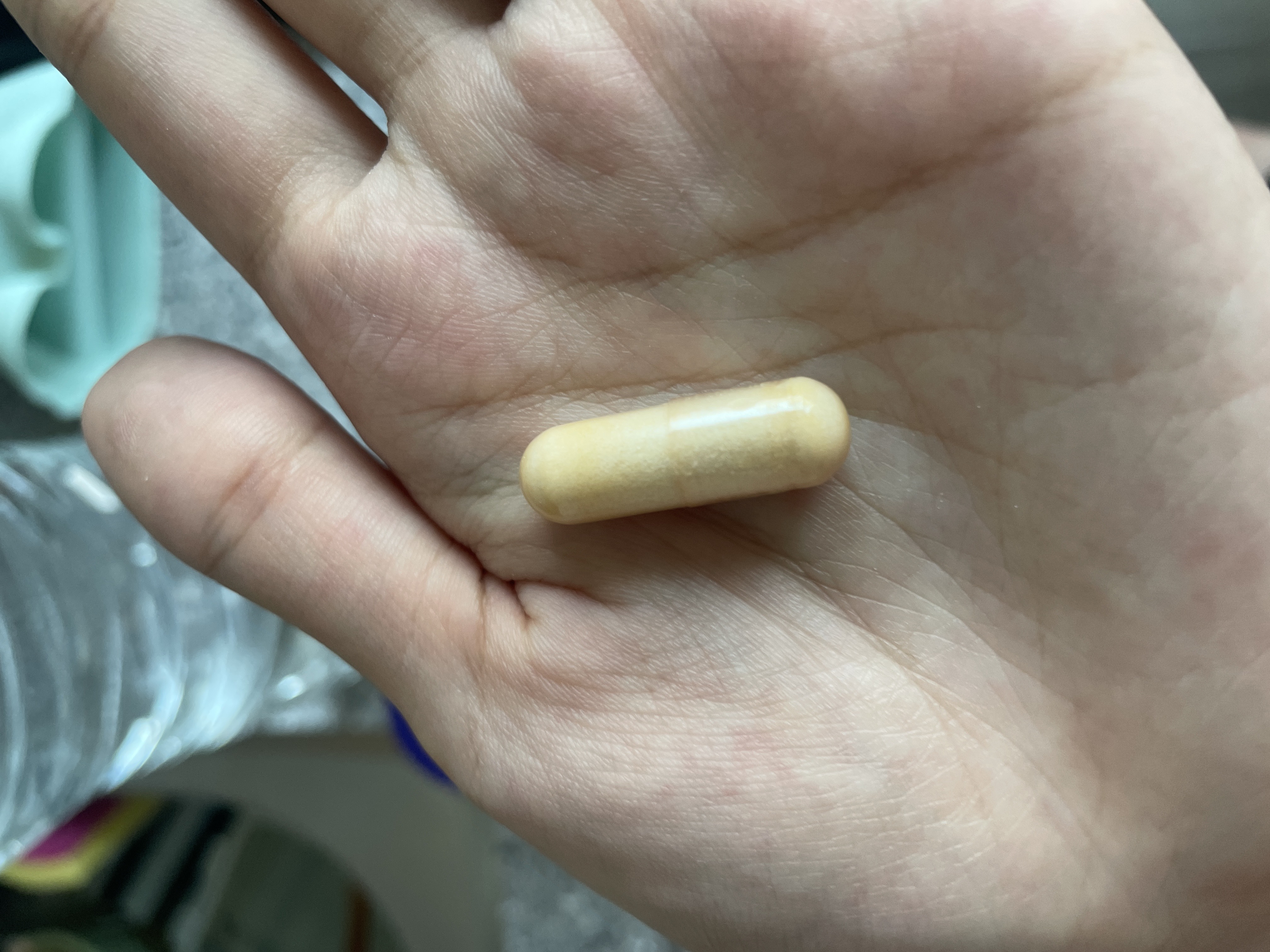 2번 째 사진