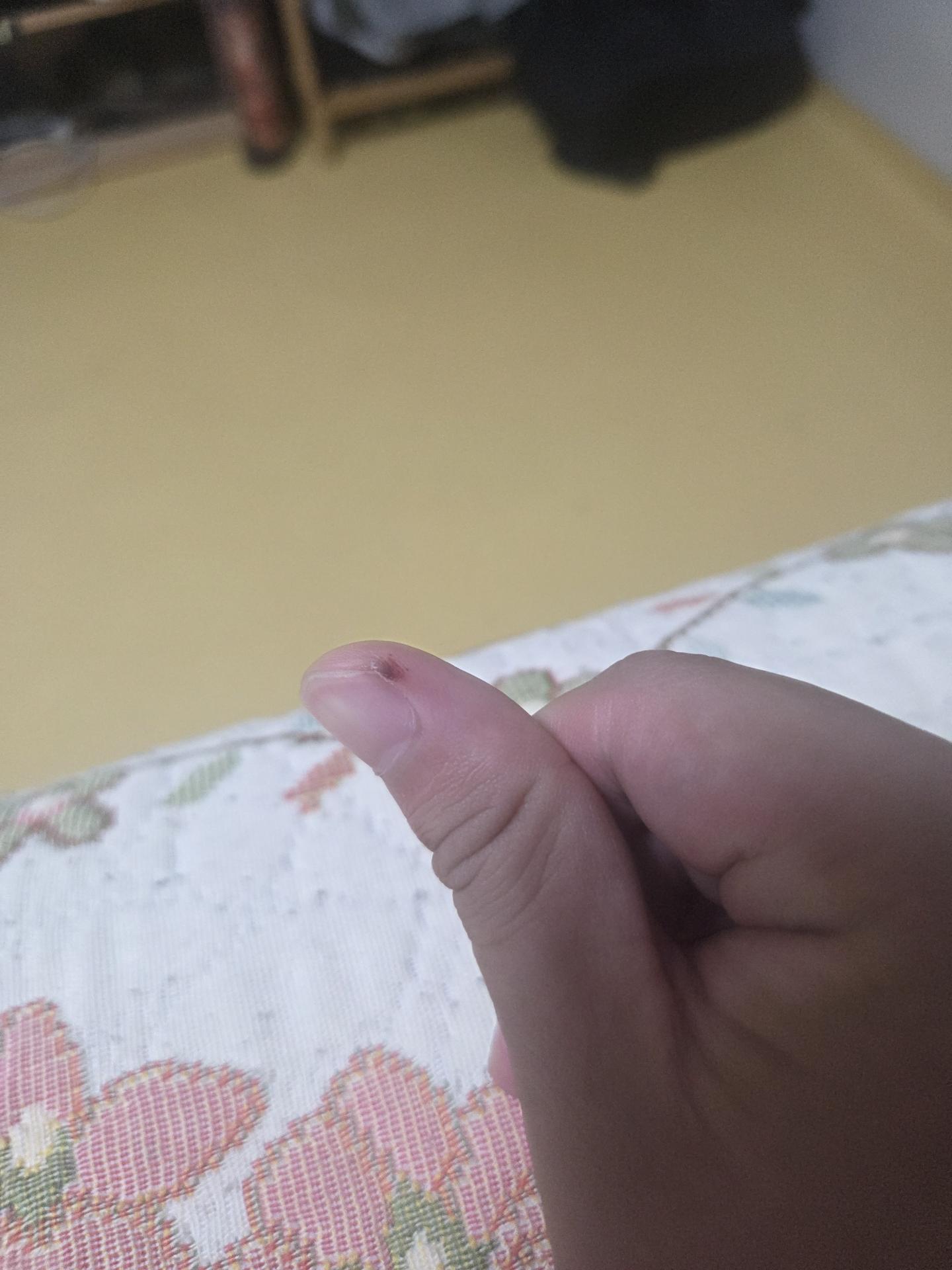 1번 째 사진