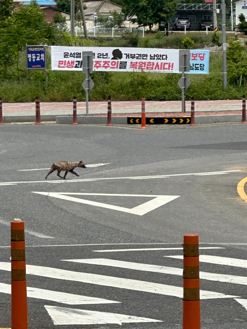 1번 째 사진