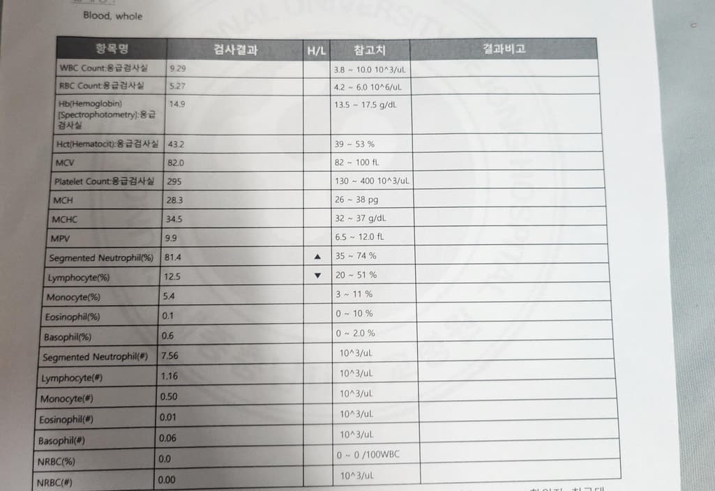 2번 째 사진