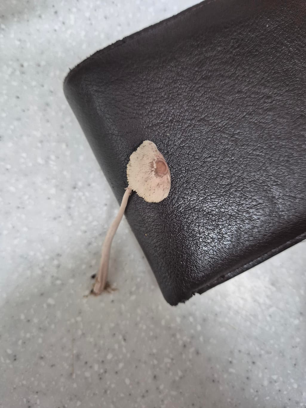 2번 째 사진