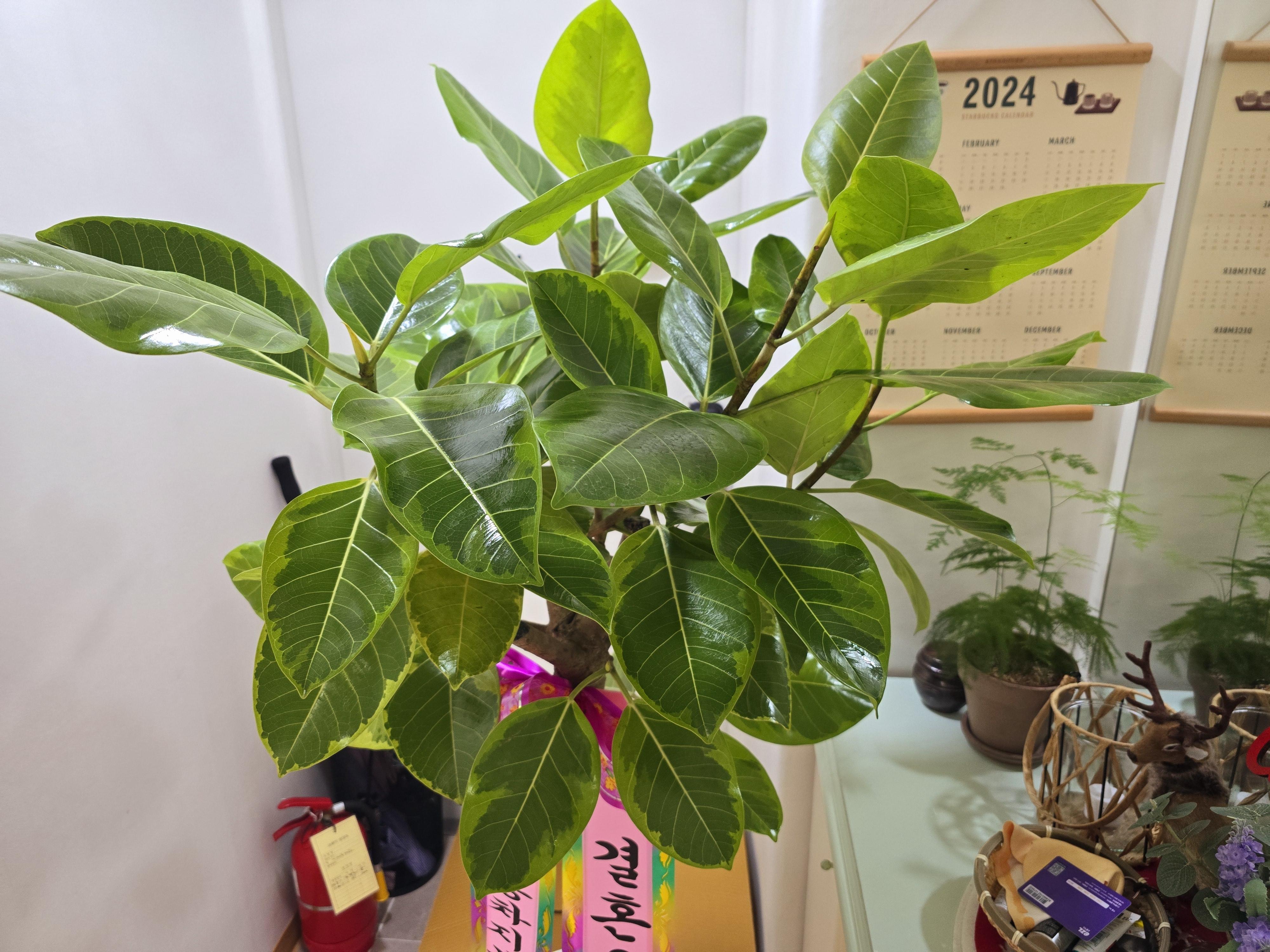 1번 째 사진