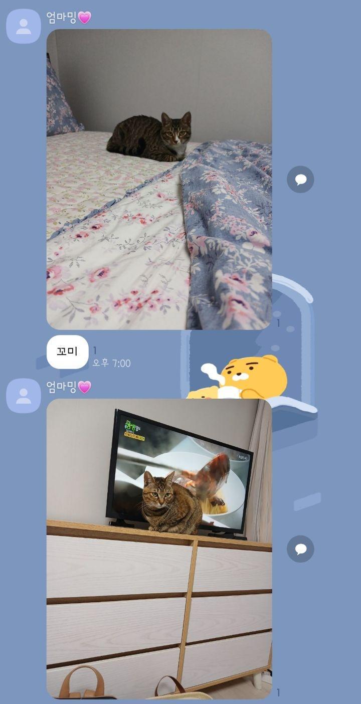 1번 째 사진