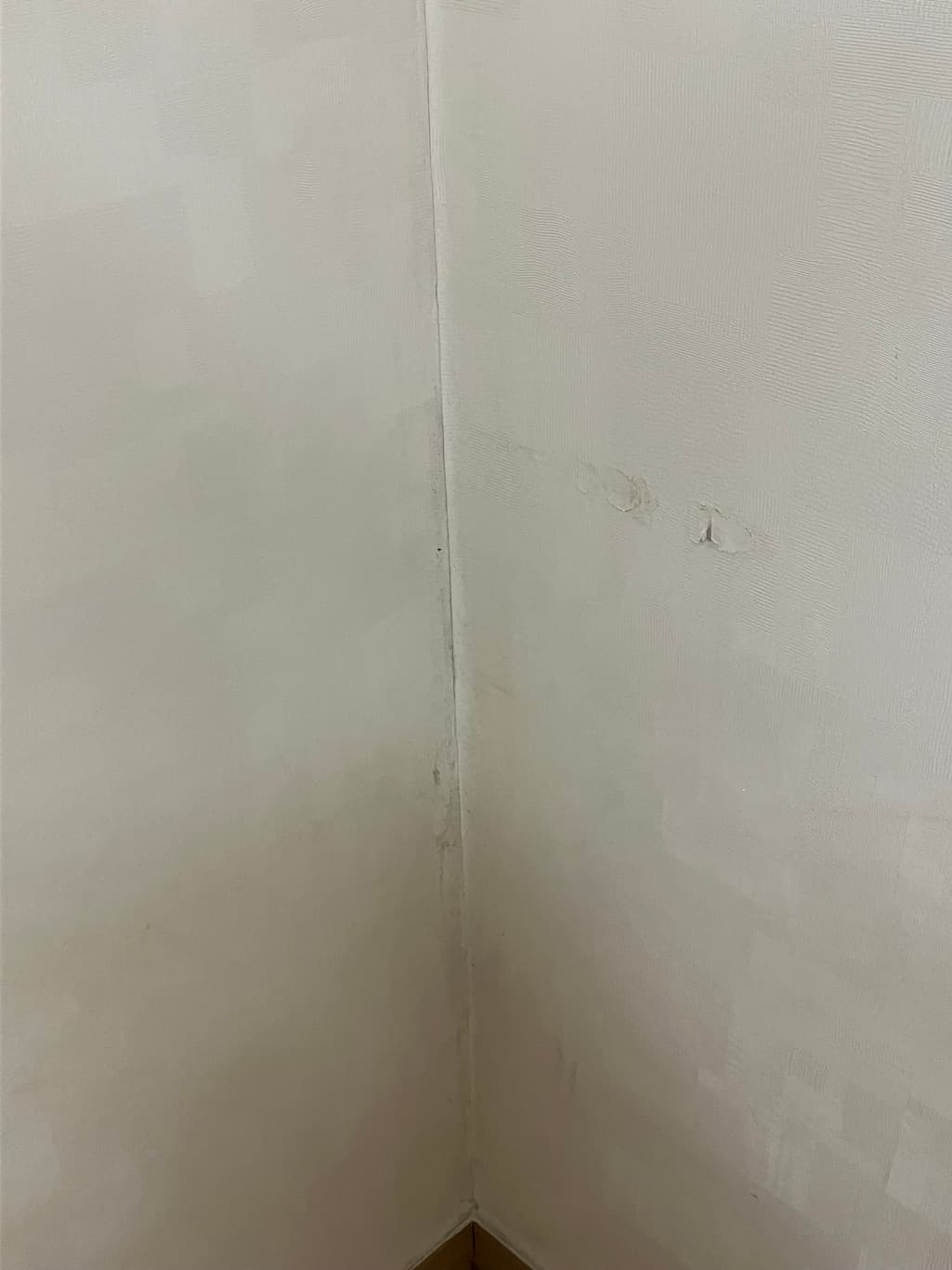 5번 째 사진