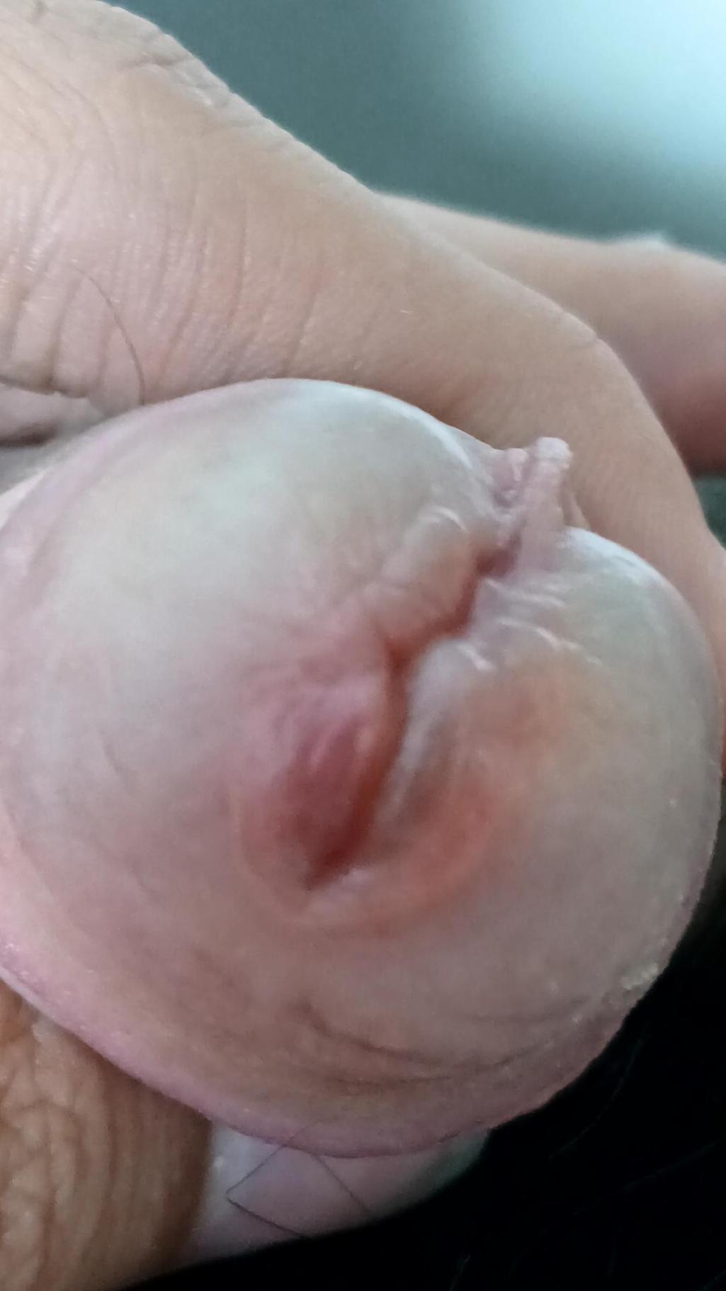 2번 째 사진
