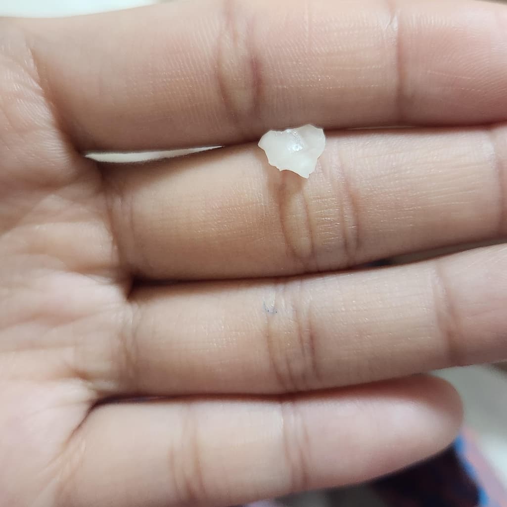5번 째 사진