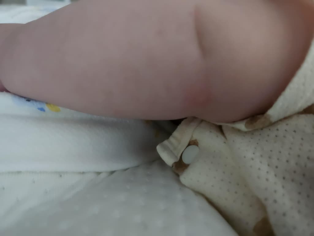 1번 째 사진