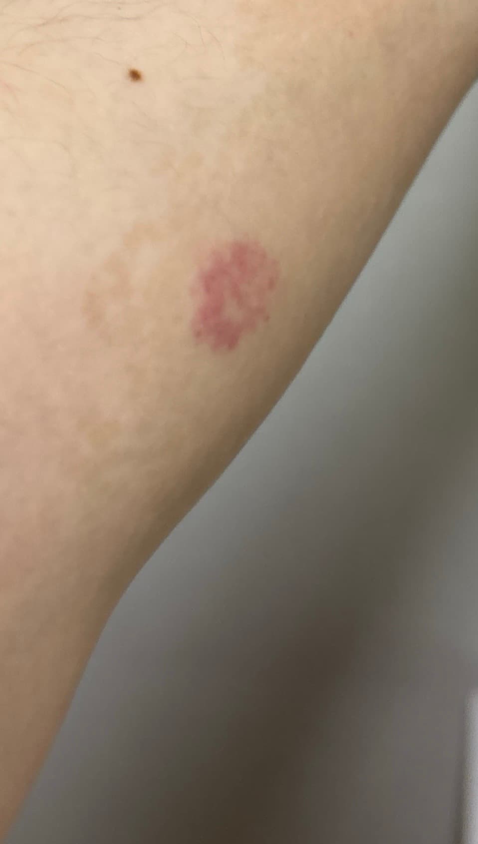 4번 째 사진