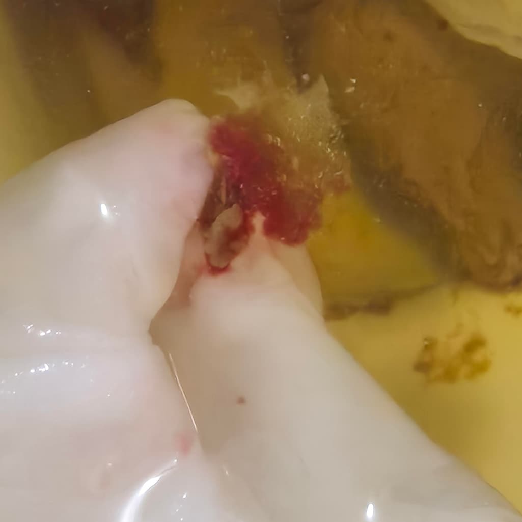 2번 째 사진