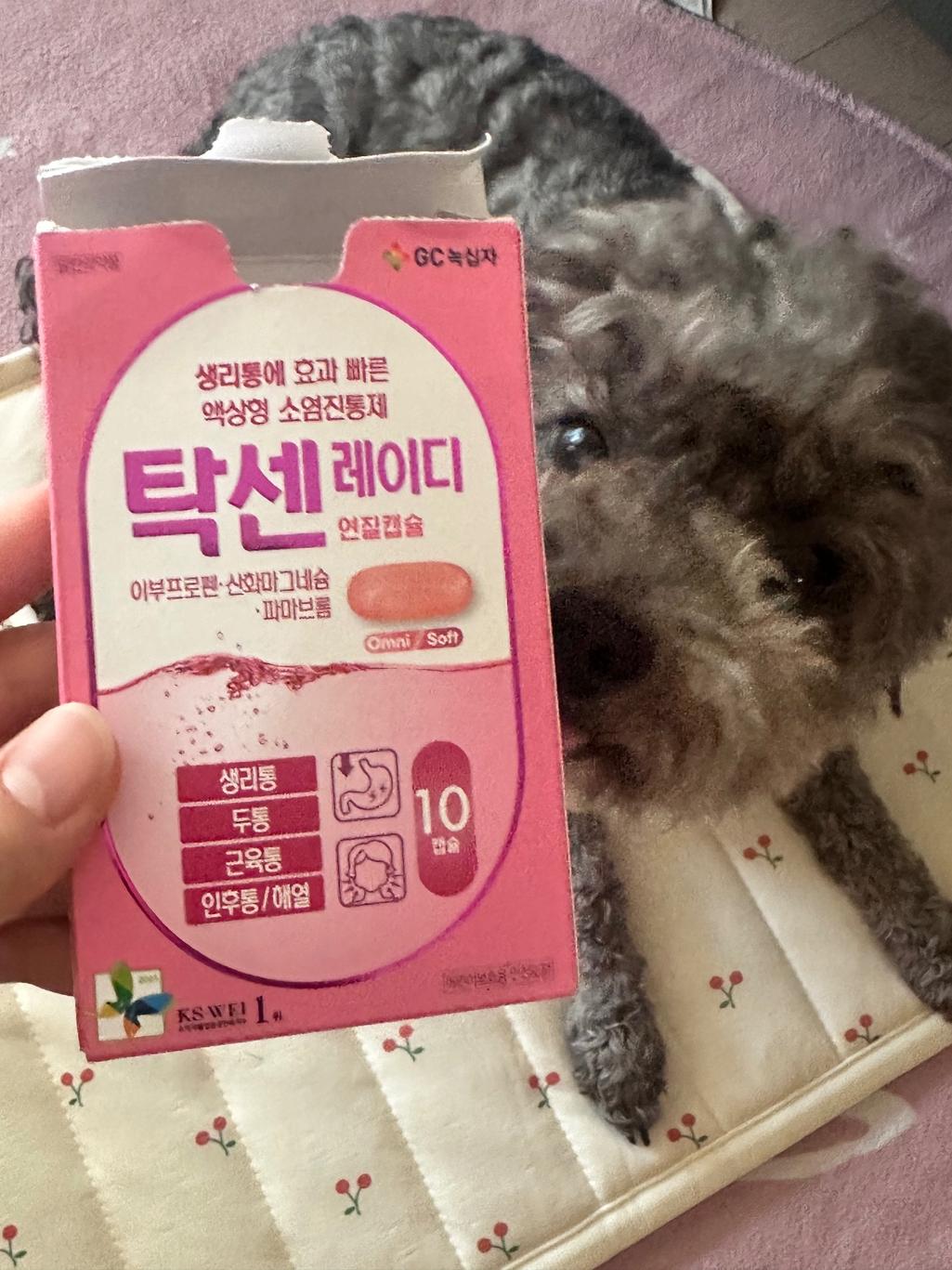 2번 째 사진