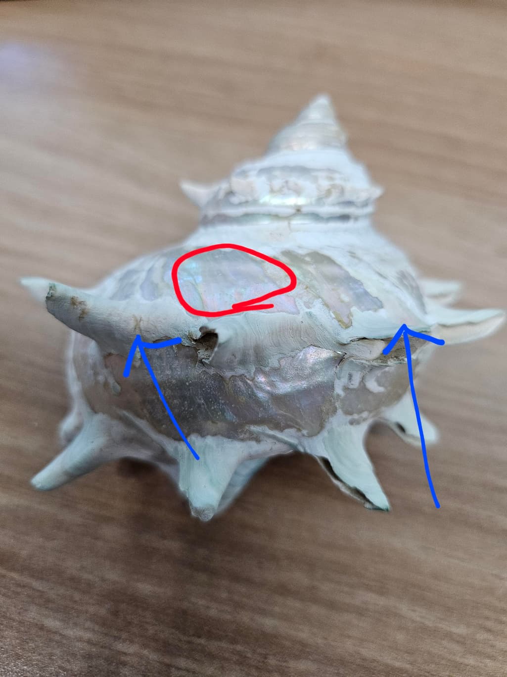 1번 째 사진