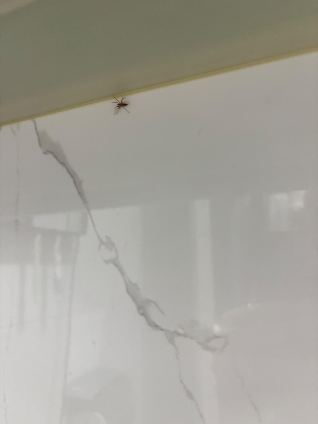2번 째 사진