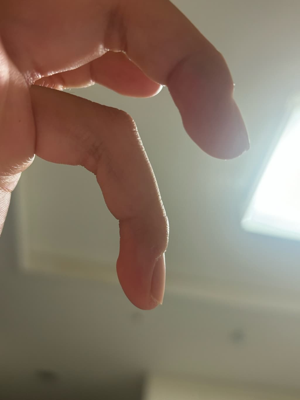 2번 째 사진
