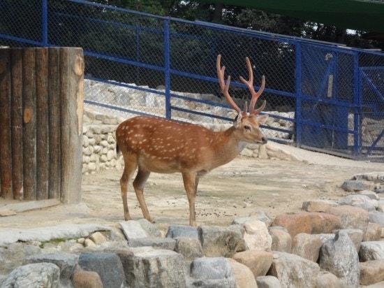 6번 째 사진