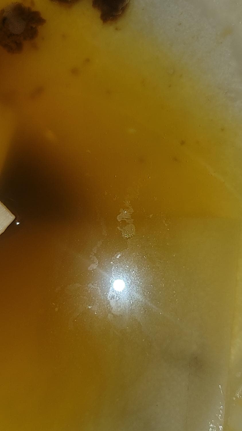 2번 째 사진