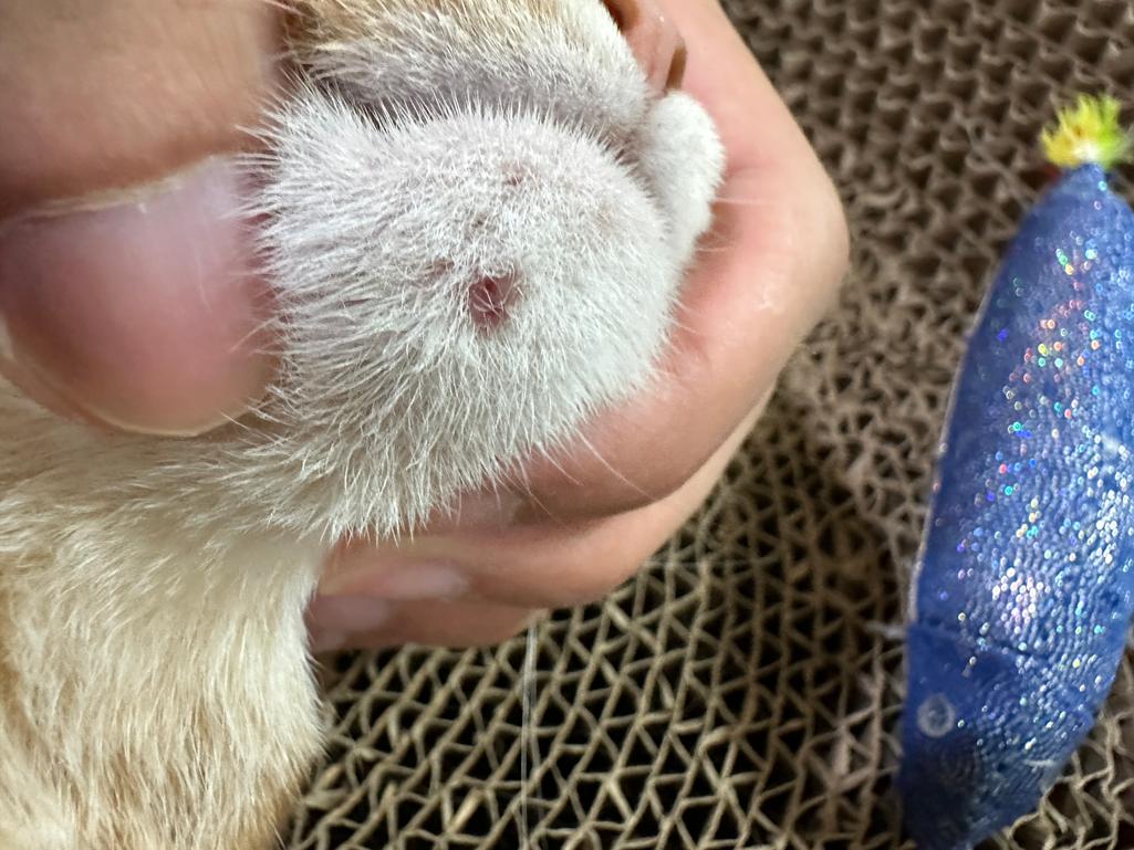 2번 째 사진