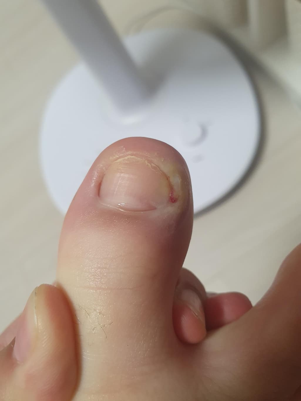 1번 째 사진