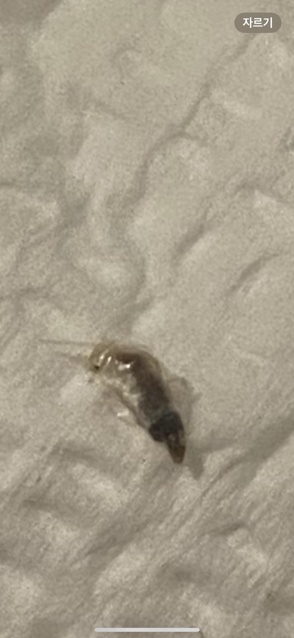 2번 째 사진