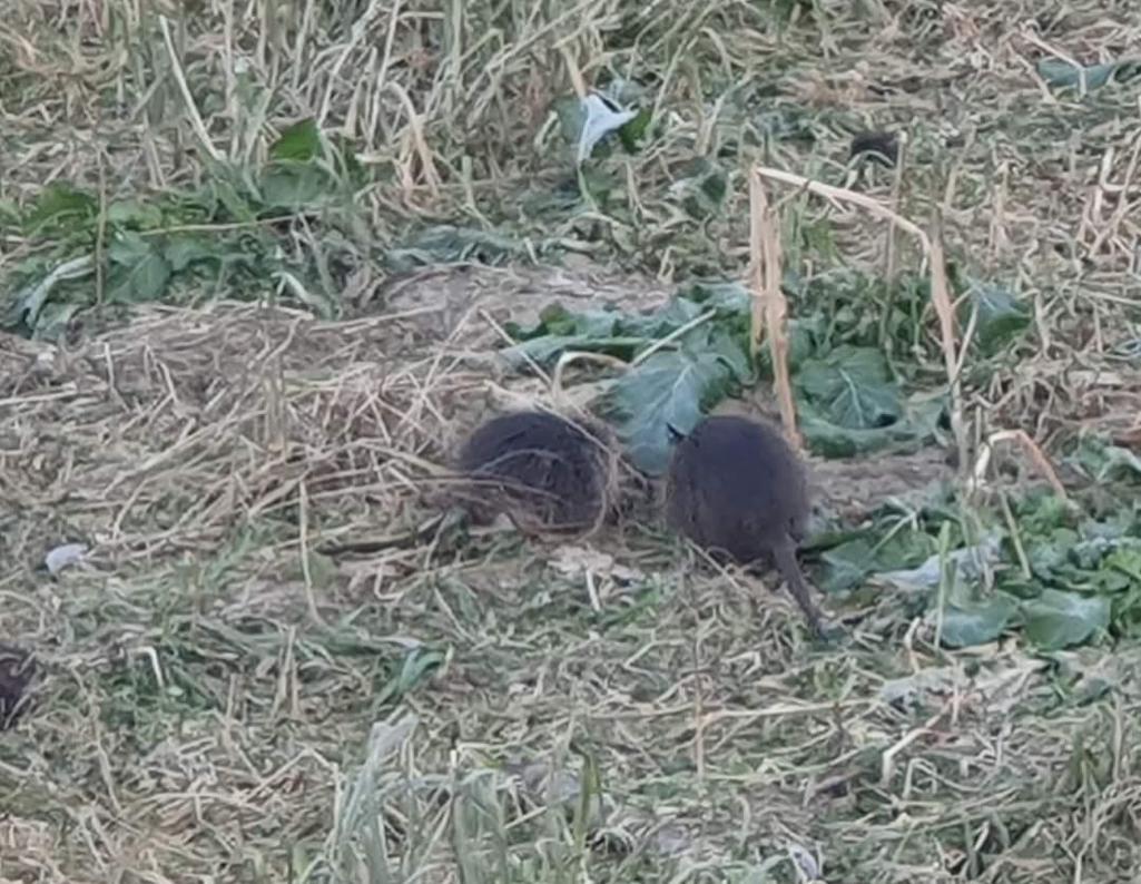 3번 째 사진