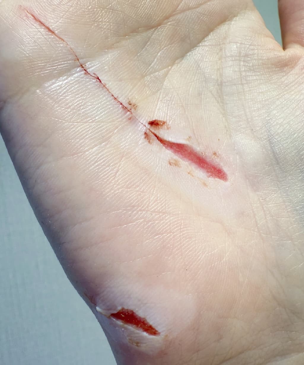 1번 째 사진