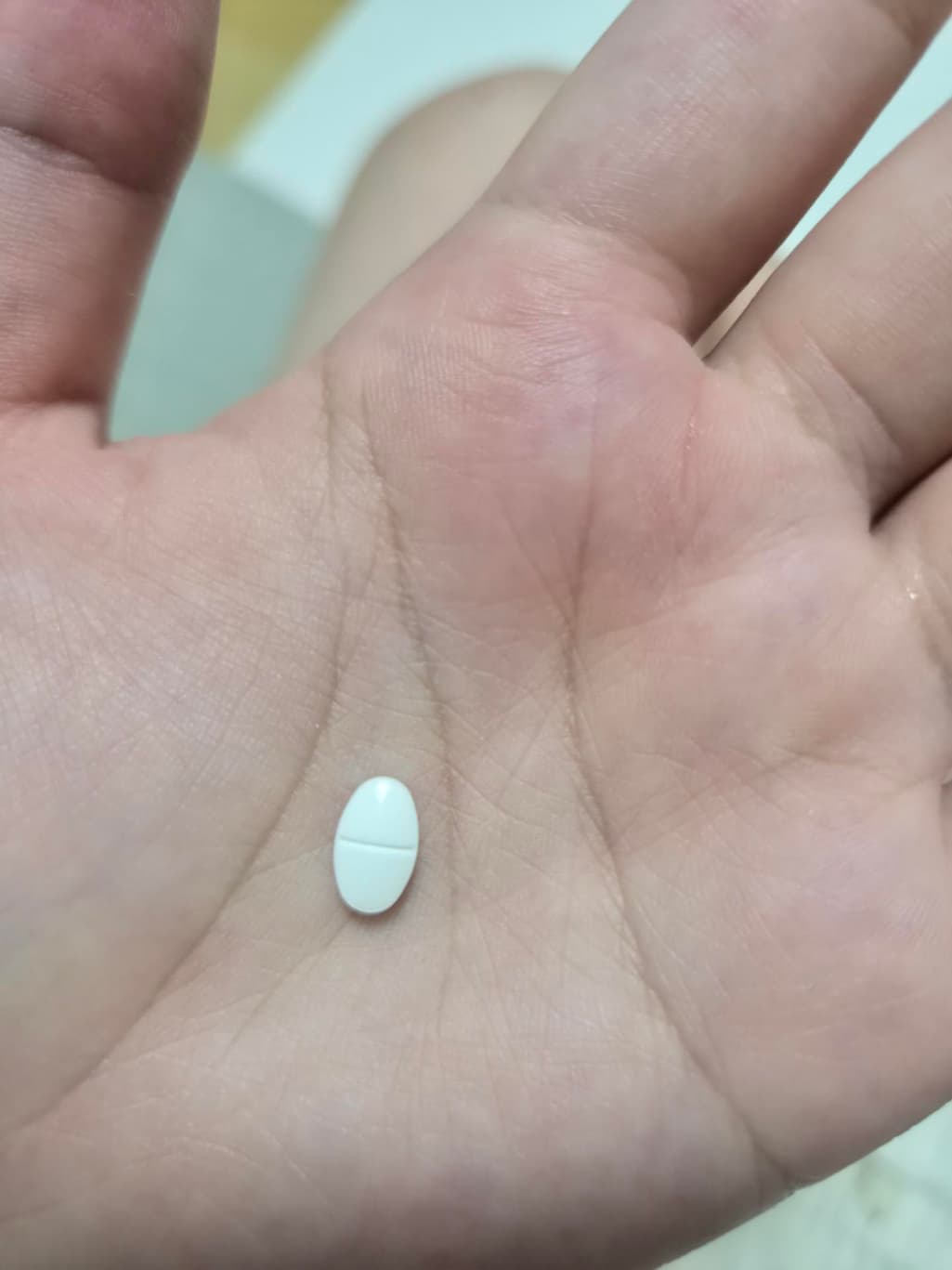 2번 째 사진